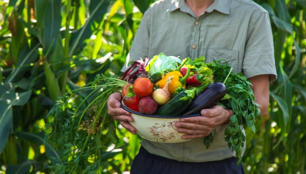 FAST EAT ITALY - QUALITY