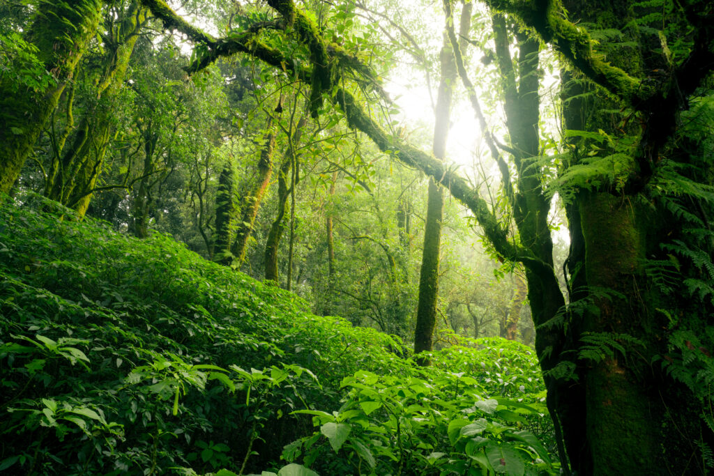 FAST EAT ITALY - SOSTENIBILITA'